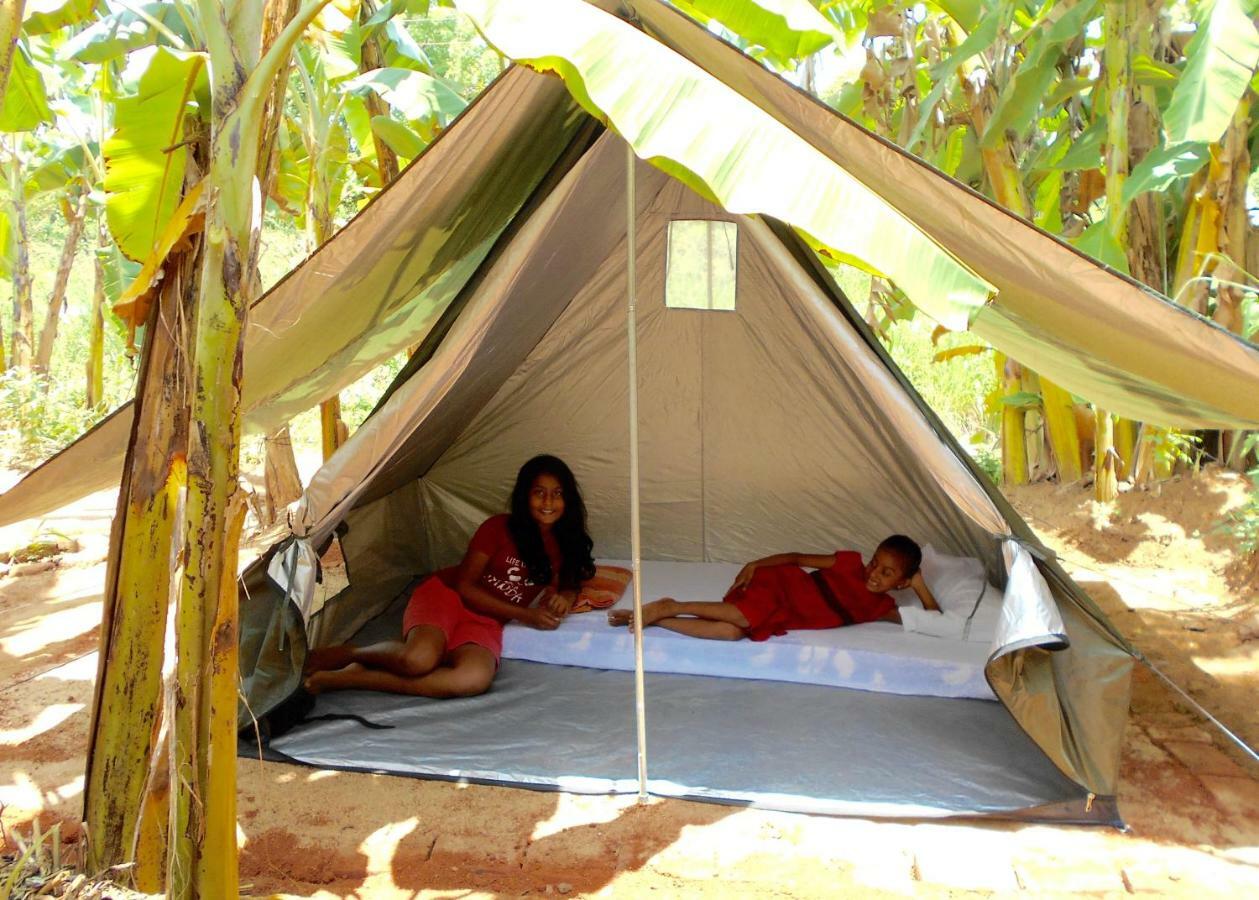 Homestay Camping אנוראדפורה מראה חיצוני תמונה